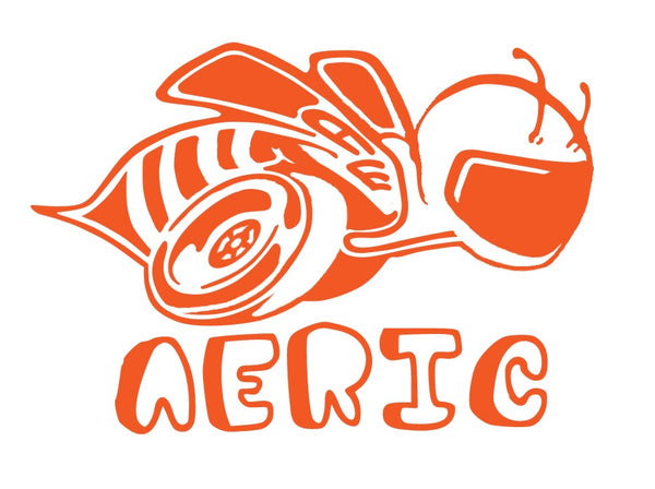 AERIC slide pucks